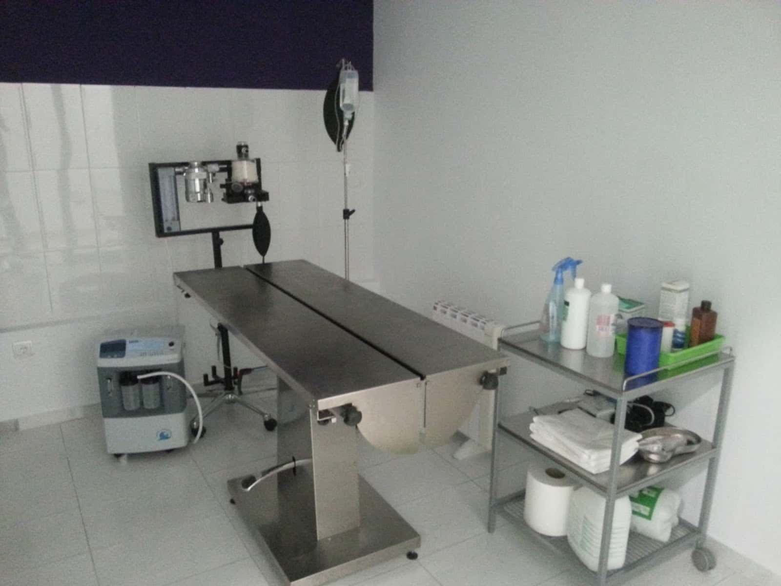 CLINICA VETERINARIA PICASSO