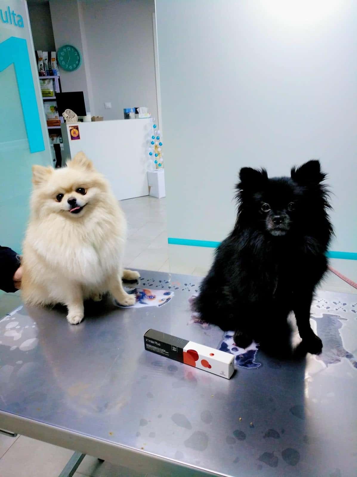 Clínica veterinaria Báez
