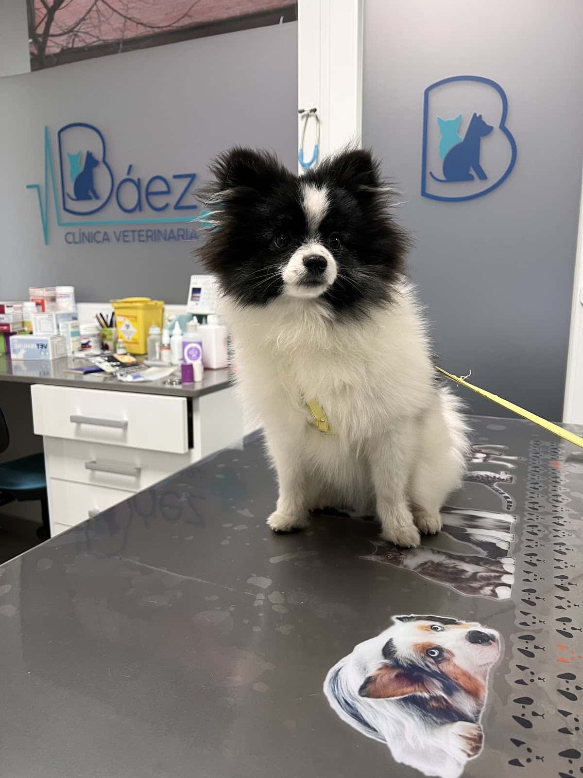Clínica veterinaria Báez