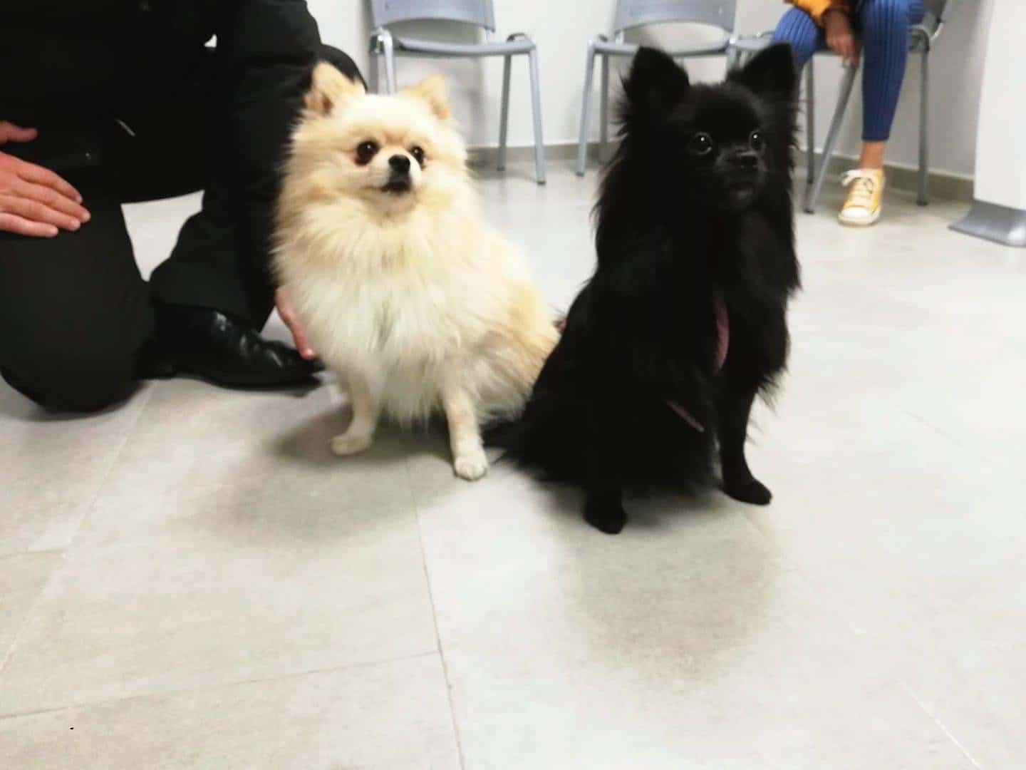 Clínica veterinaria Báez