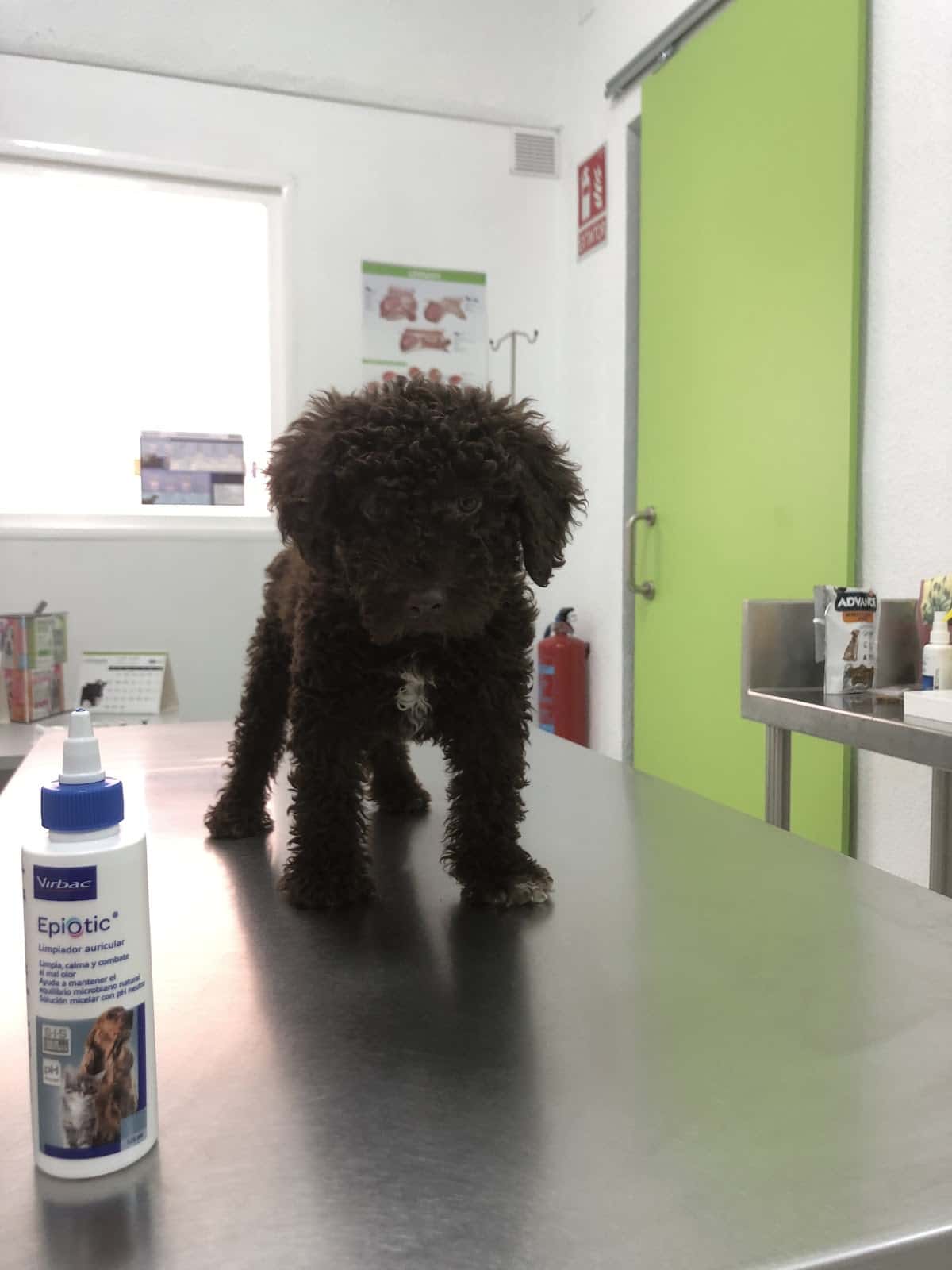 Centro Veterinario Lucia Gonzalez