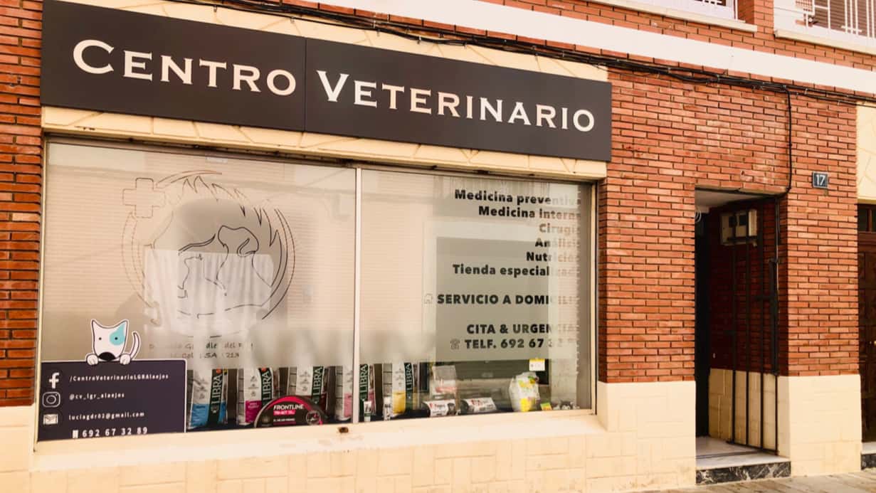 centro veterinario lucia gonzalez veterinario centro en alaejos en valladolid principalImage ADOPTA Sitios Pet Friendly