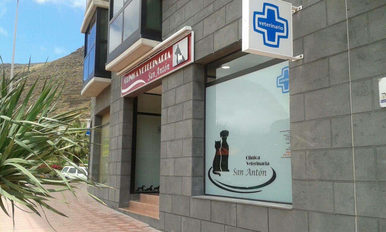 clinica veterinaria san anton veterinario clinica en san sebastian de la gomera en santa cruz de tenerife principalImage ADOPTA Sitios Pet Friendly