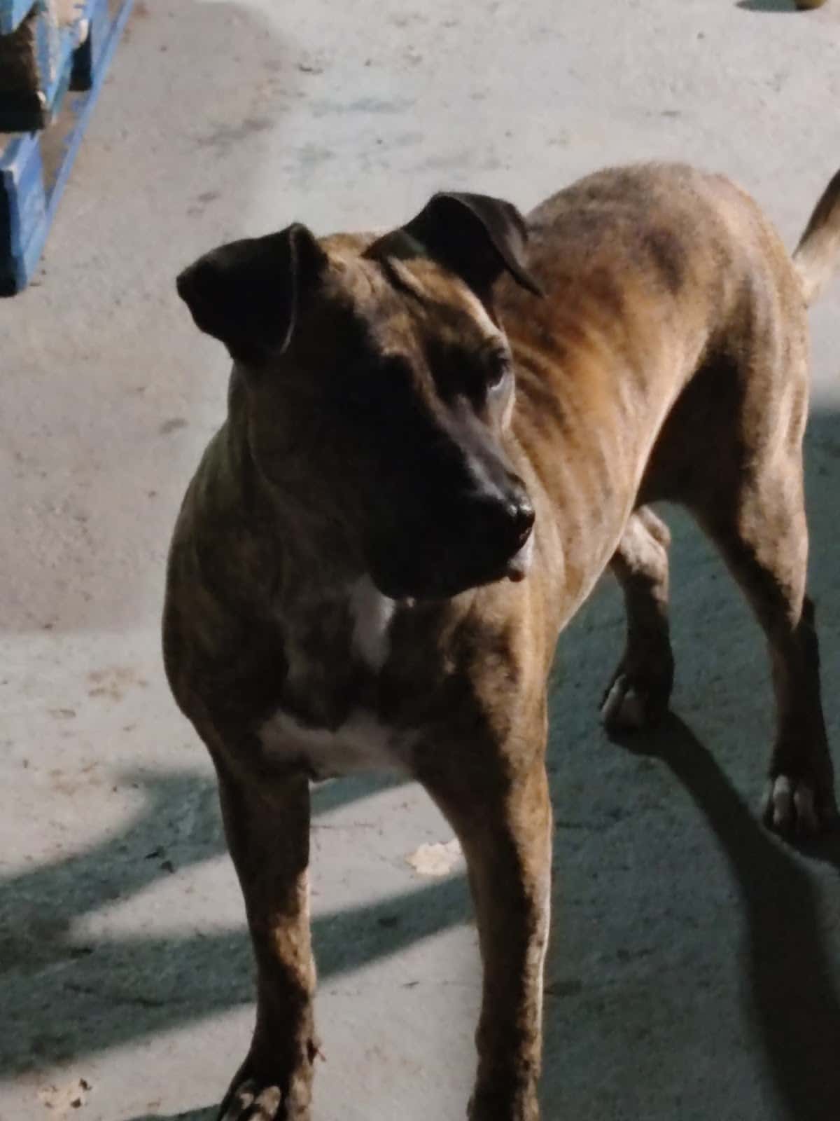 Centro Veterinario Orone