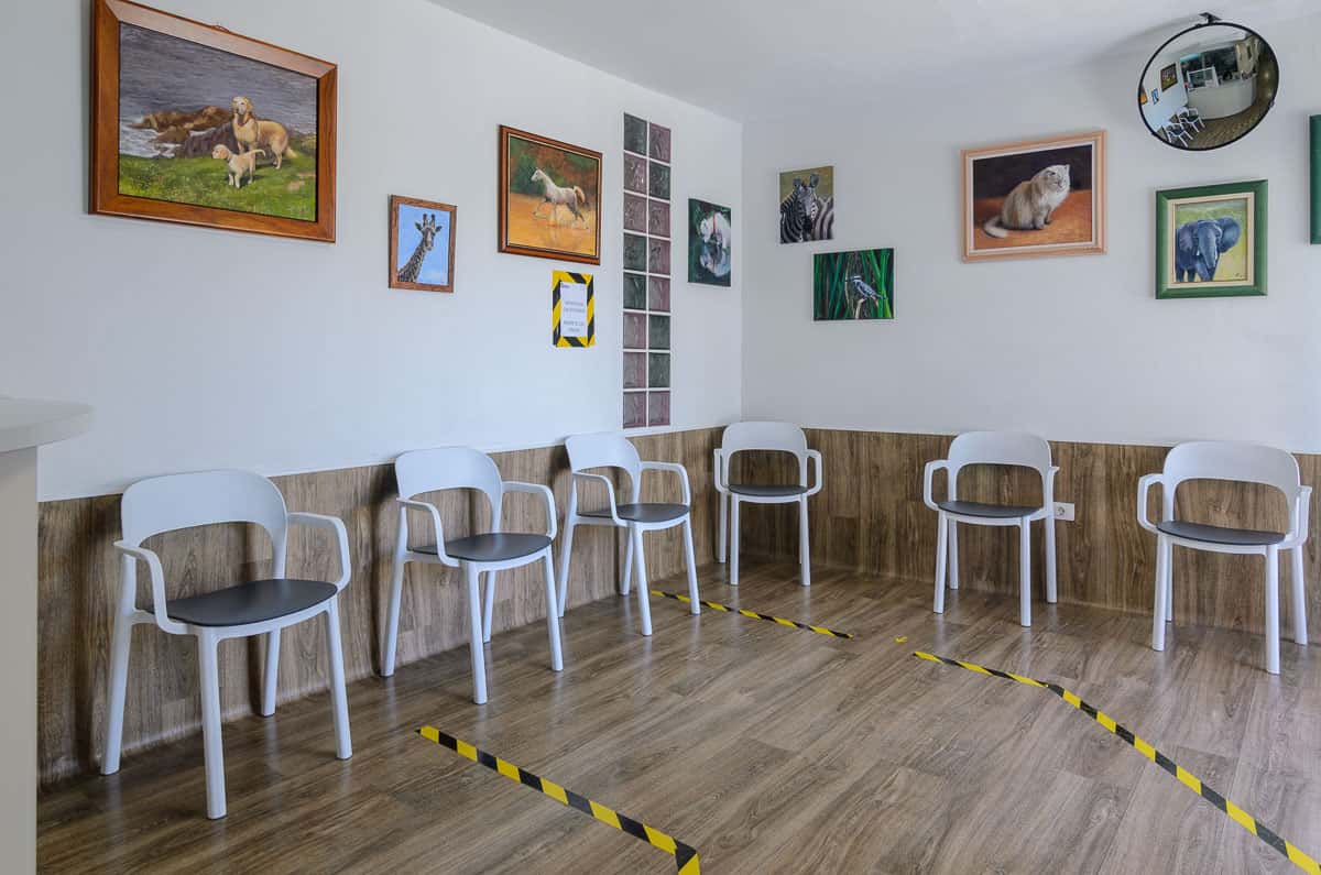 Clínica Veterinaria Sabuesos