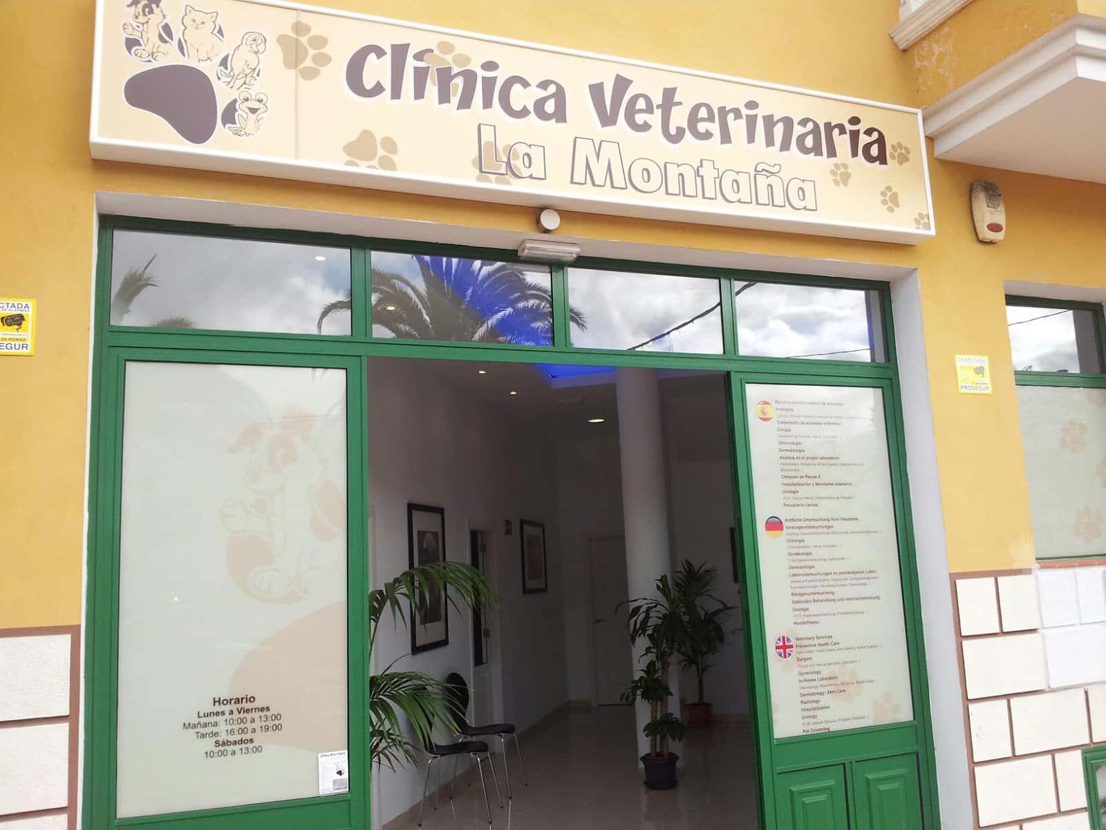 clinica veterinaria la montana veterinario clinica en los realejos en santa cruz de tenerife principalImage ADOPTA Sitios Pet Friendly
