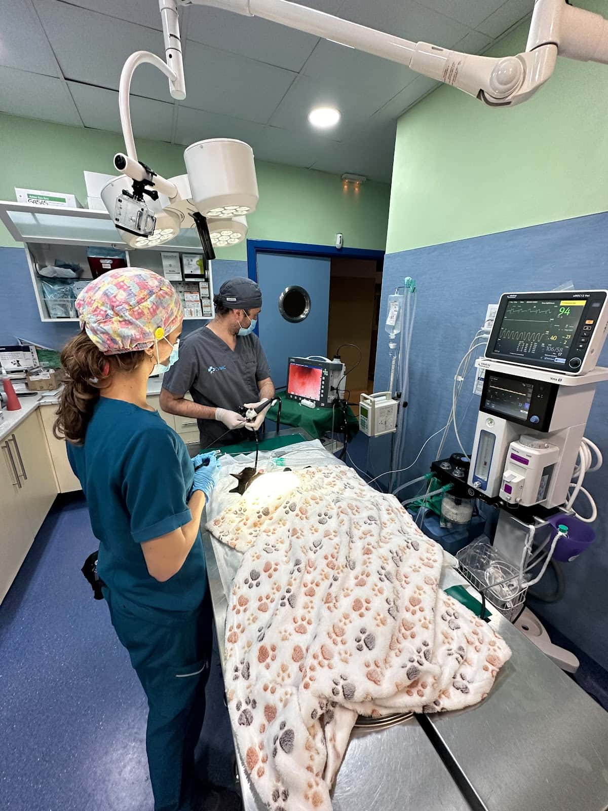Clínica Veterinaria Añaterve