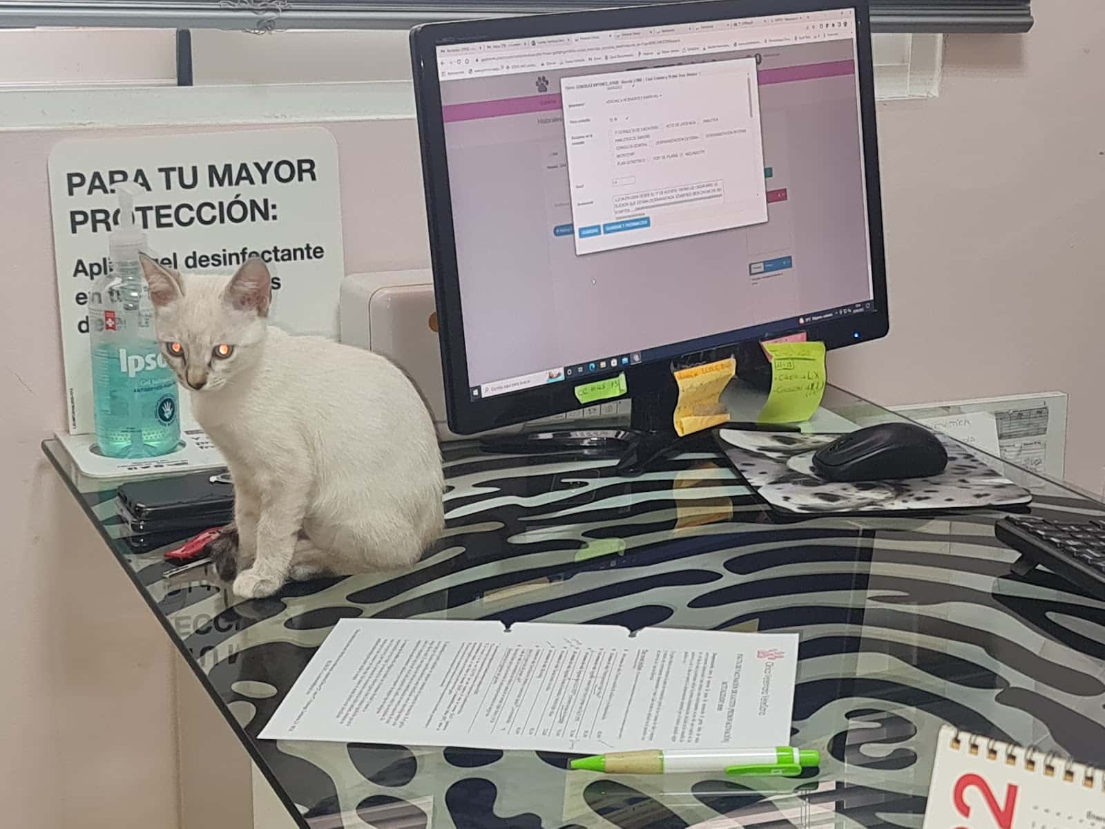 Veter Sana veterinarios