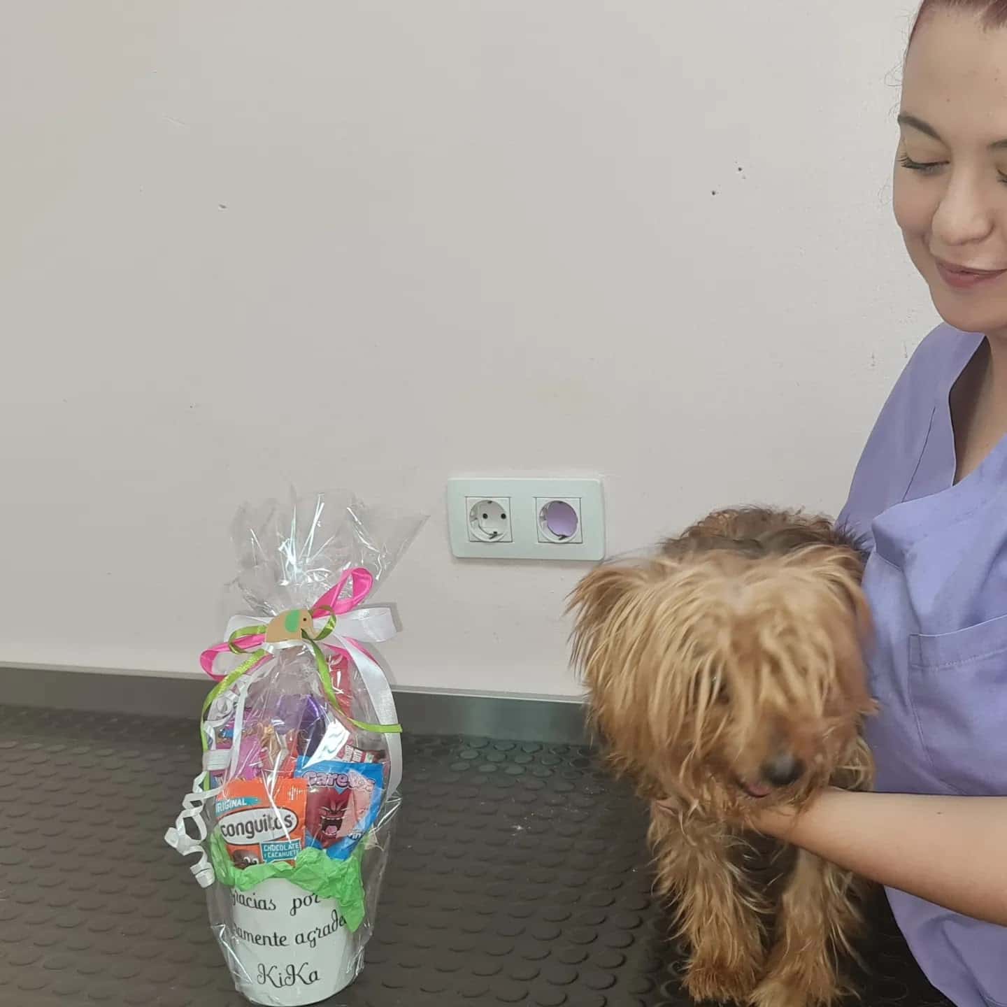 Veter Sana veterinarios
