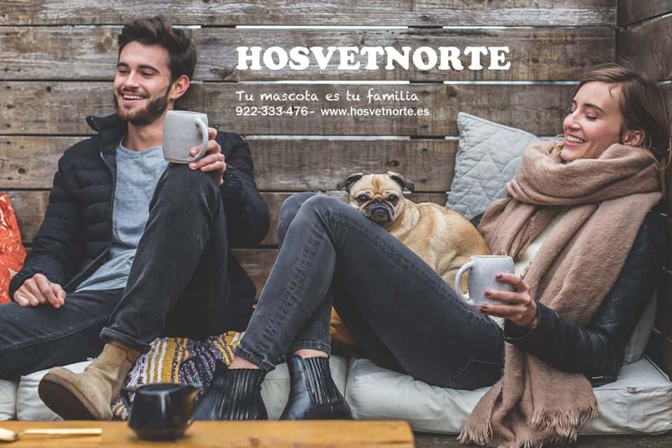 Hosvetnorte