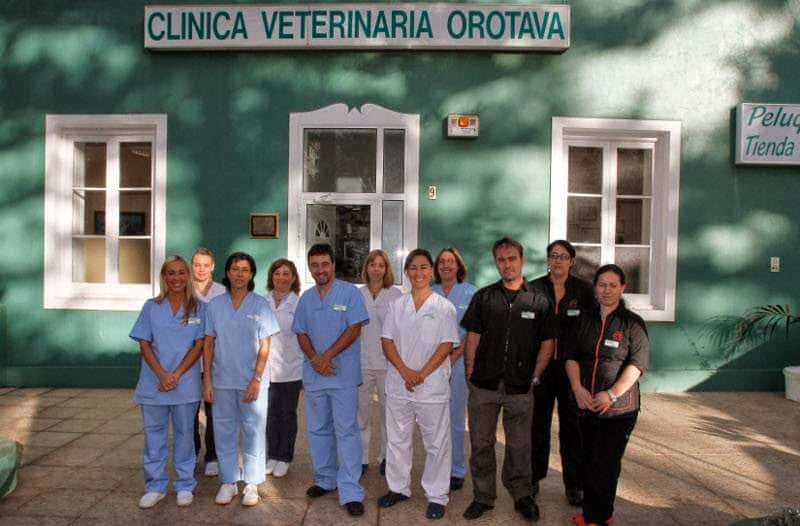 orotavet clinica veterinaria veterinario clinica en la orotava en santa cruz de tenerife principalImage ADOPTA Sitios Pet Friendly