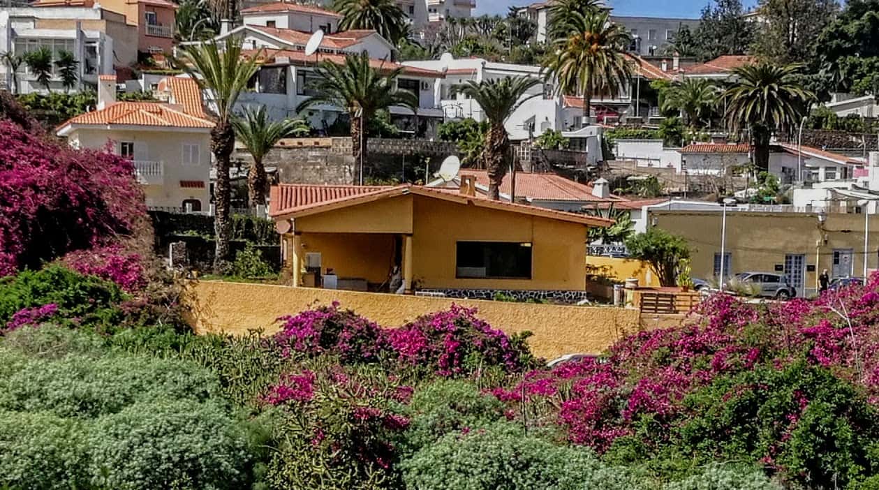 tao vet canarias veterinario centro en puerto de la cruz en santa cruz de tenerife principalImage ADOPTA Sitios Pet Friendly