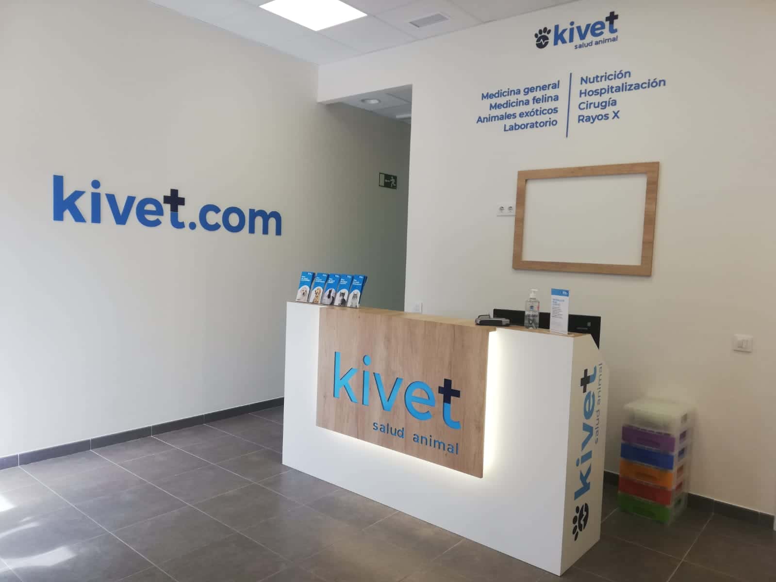 Kivet