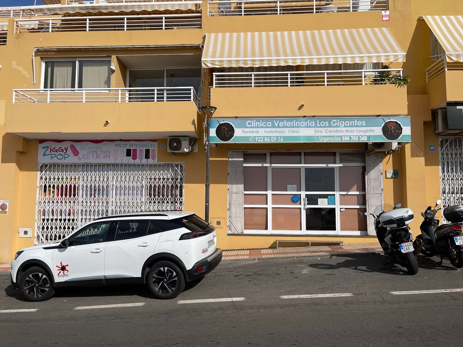 veterinary clinic los gigantes veterinario clinica en puerto de santiago en santa cruz de tenerife principalImage ADOPTA Sitios Pet Friendly