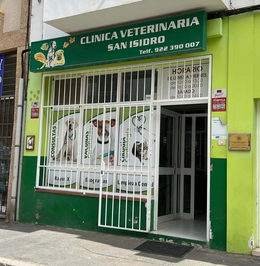 clinica veterinaria san isidro veterinario clinica en san isidro en santa cruz de tenerife principalImage ADOPTA Sitios Pet Friendly
