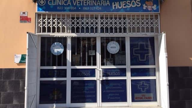 clinica veterinaria huesos veterinario clinica en icod de los vinos en santa cruz de tenerife principalImage ADOPTA Sitios Pet Friendly