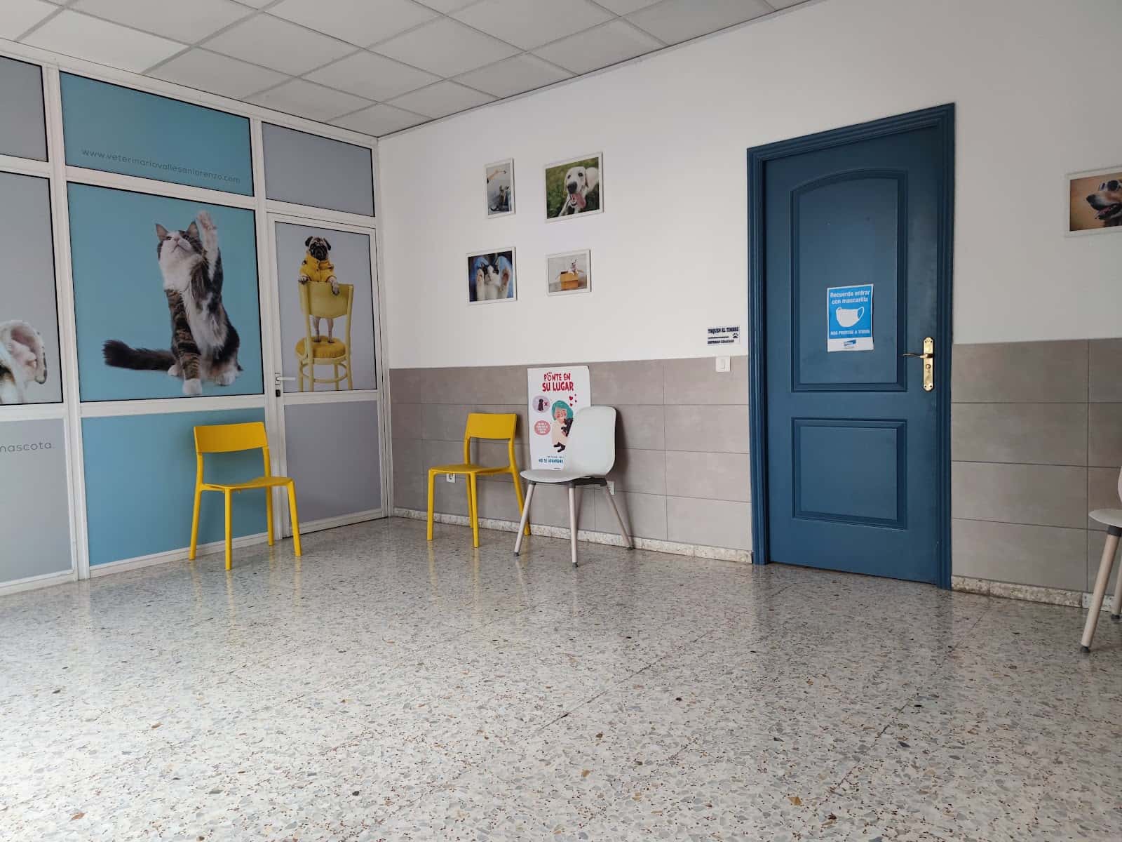 Centro Veterinario Valle San Lorenzo