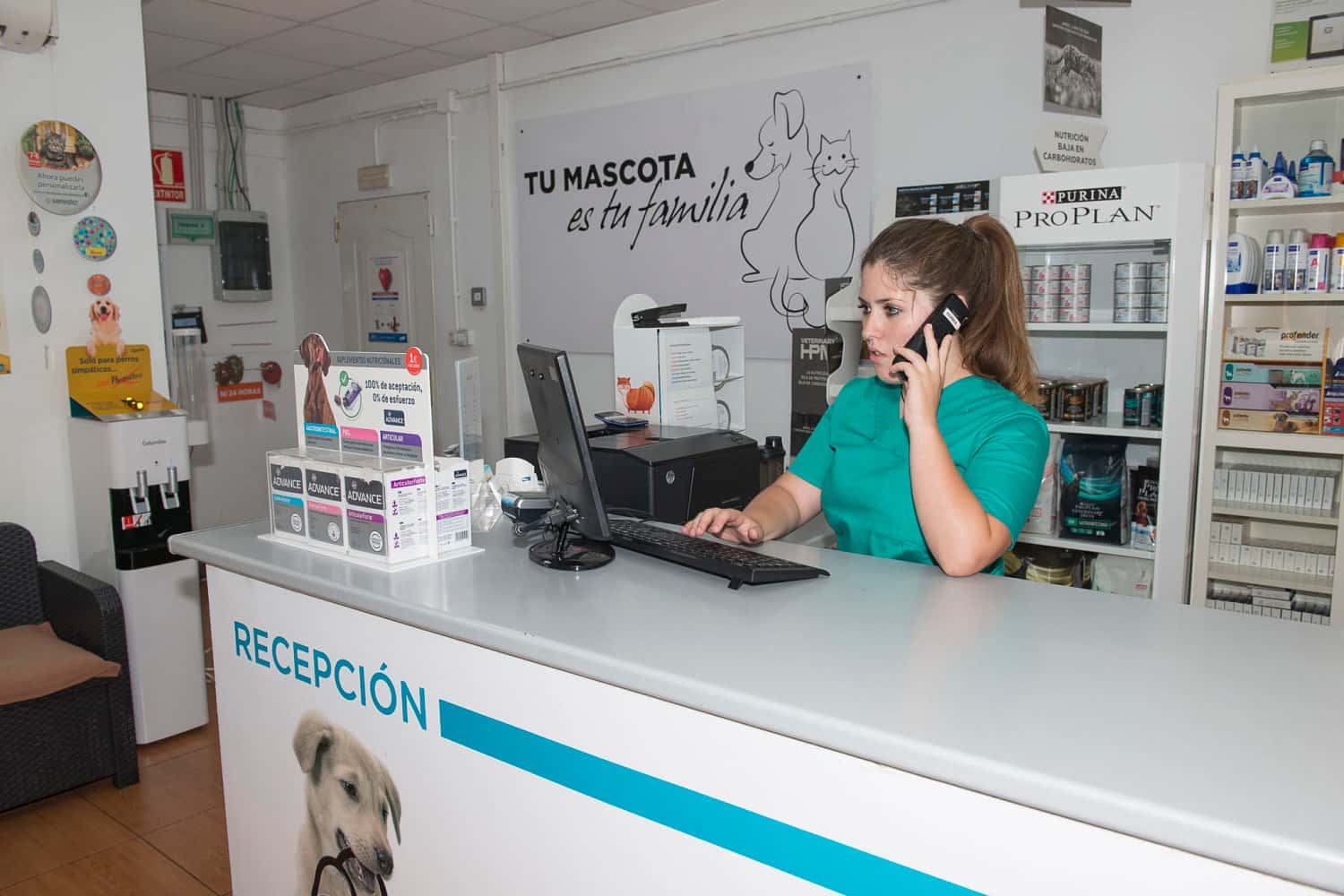 Dingo Clínica Veterinaria Tenerife sur