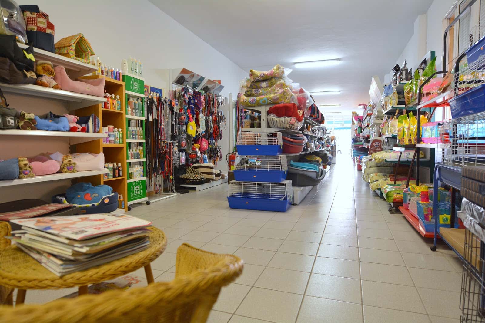 Don Perro - Veterinario - Adiestrador - Hotel canino en Tenerife