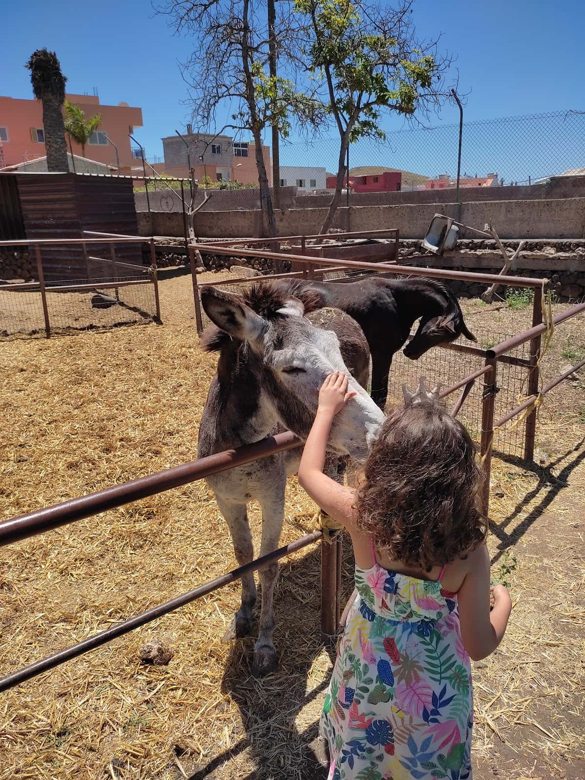 Animal Center Sur S.L.