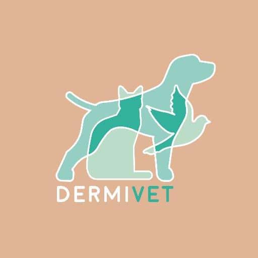 dermivet tenerife veterinario centro en playa san juan en santa cruz de tenerife principalImage ADOPTA Sitios Pet Friendly