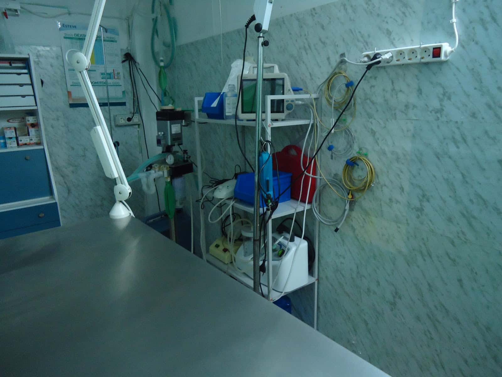Consulta Veterinaria Guia de Isora