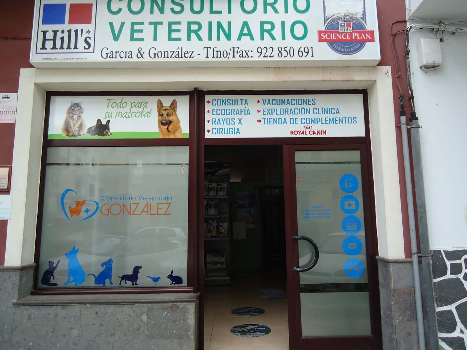 consulta veterinaria guia de isora veterinario centro en guia de isora en santa cruz de tenerife principalImage ADOPTA Sitios Pet Friendly