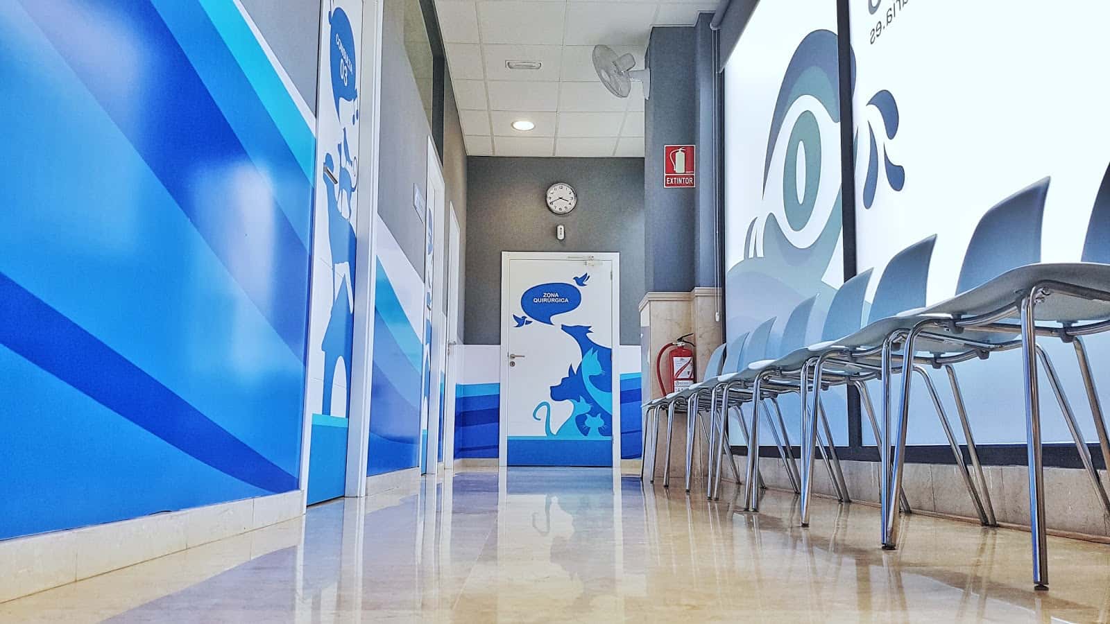 vision veterinaria centro oftalmologico veterinario veterinario centro en la laguna en santa cruz de tenerife principalImage ADOPTA Sitios Pet Friendly
