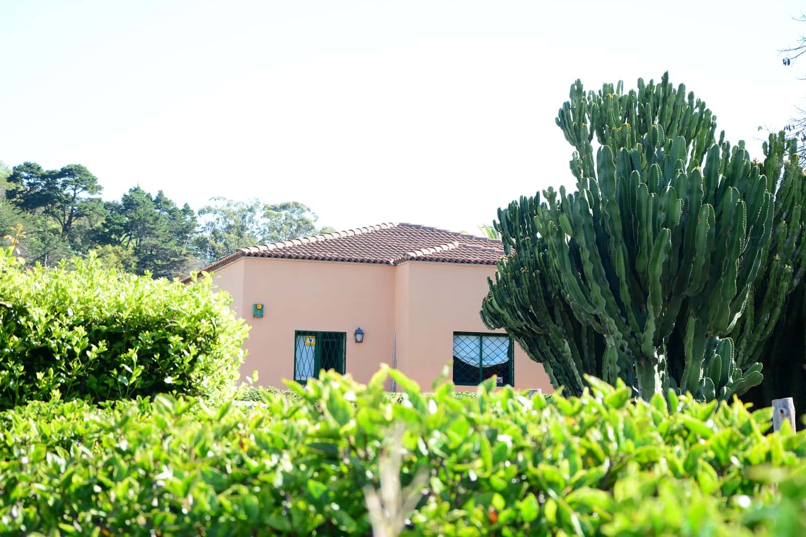 clinica la caridad veterinario clinica en tacoronte en santa cruz de tenerife principalImage ADOPTA Sitios Pet Friendly
