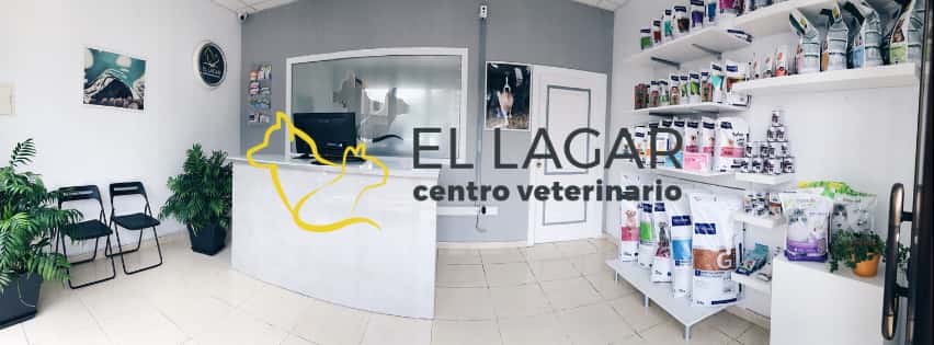 centro veterinario el lagar veterinario centro en el sauzal en santa cruz de tenerife principalImage ADOPTA Sitios Pet Friendly