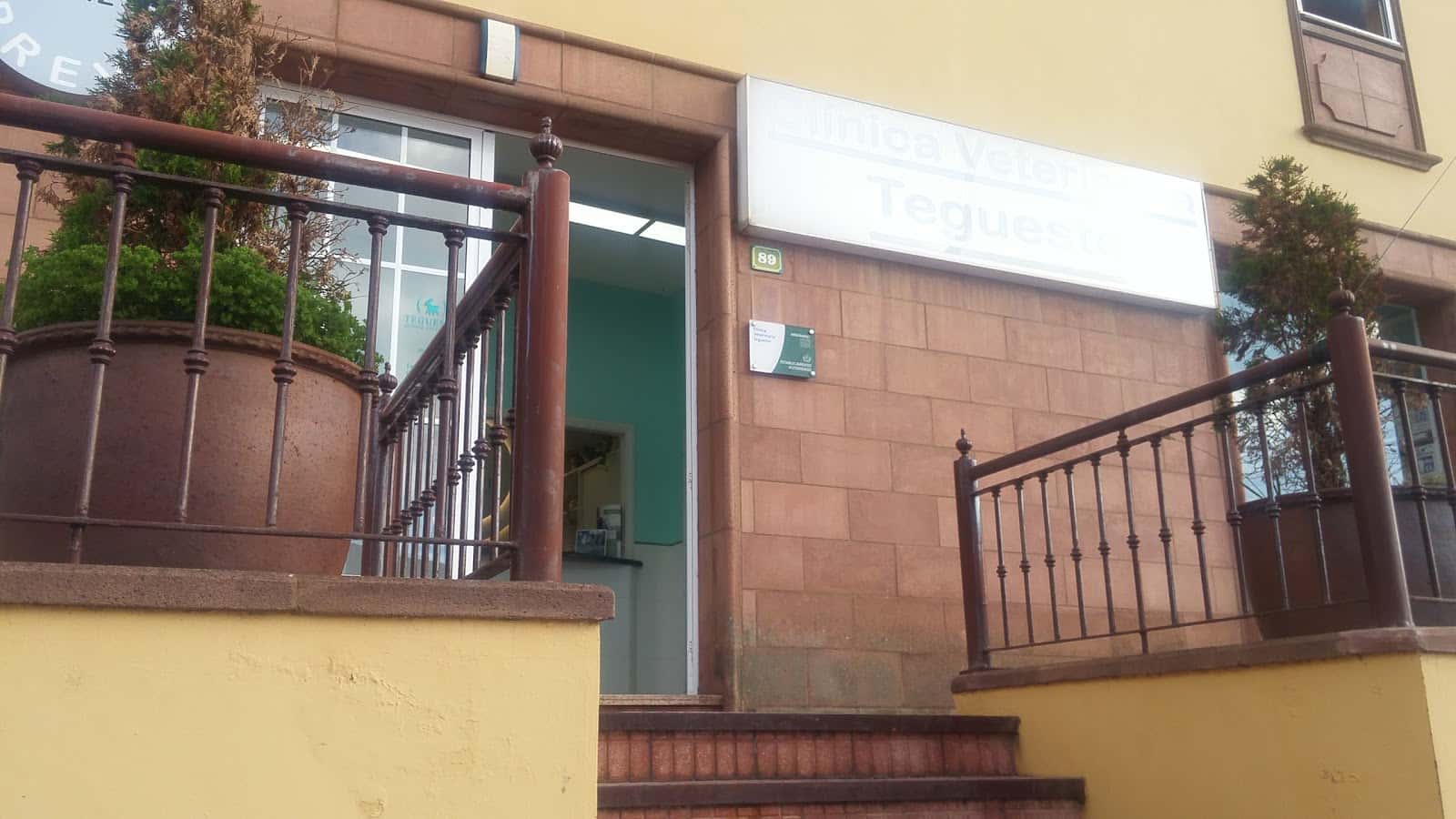 clinica veterinaria tegueste veterinario clinica en tegueste en santa cruz de tenerife principalImage ADOPTA Sitios Pet Friendly