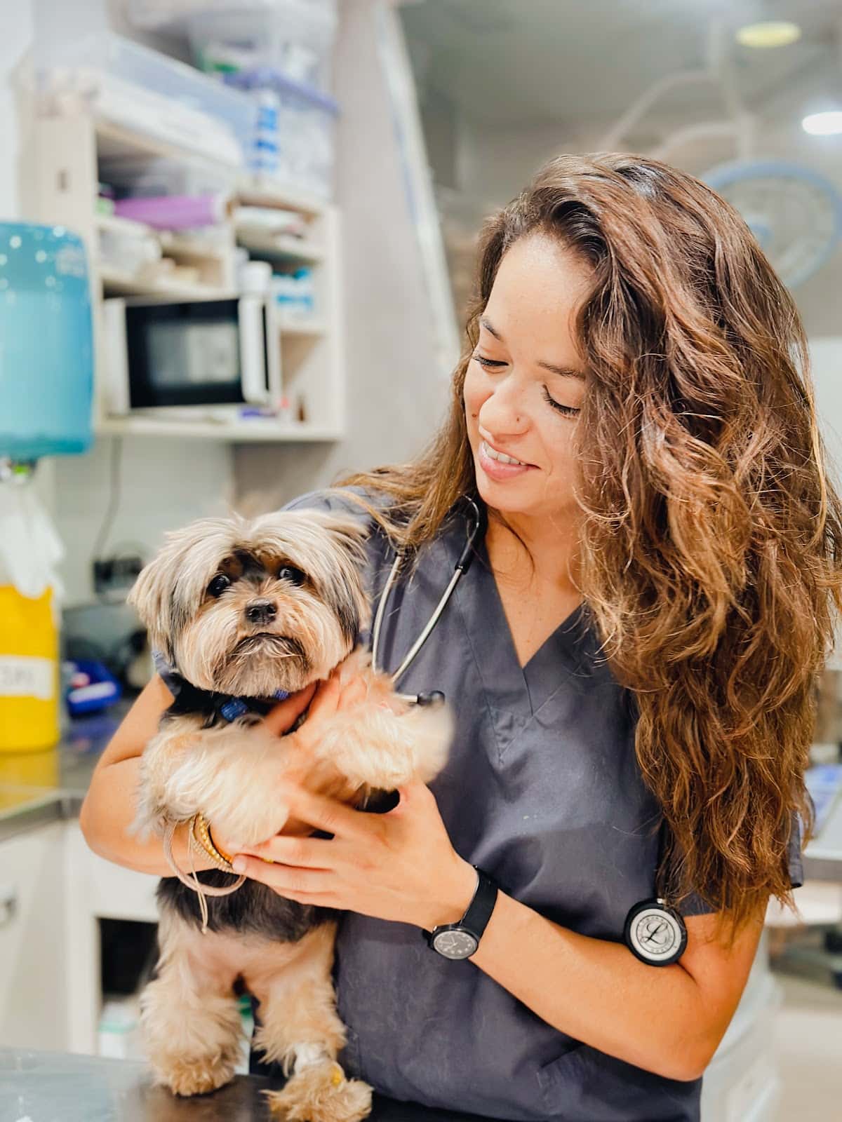 Hospital Veterinario Cruz Piedra