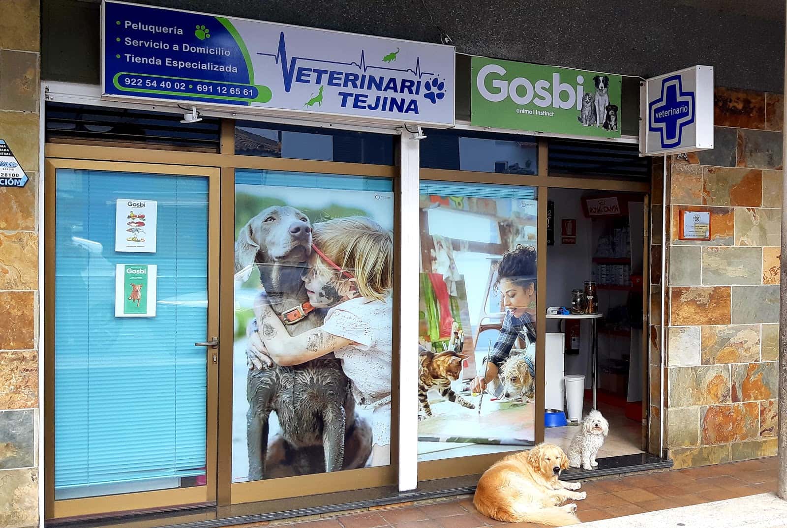 Veterinario Tejina