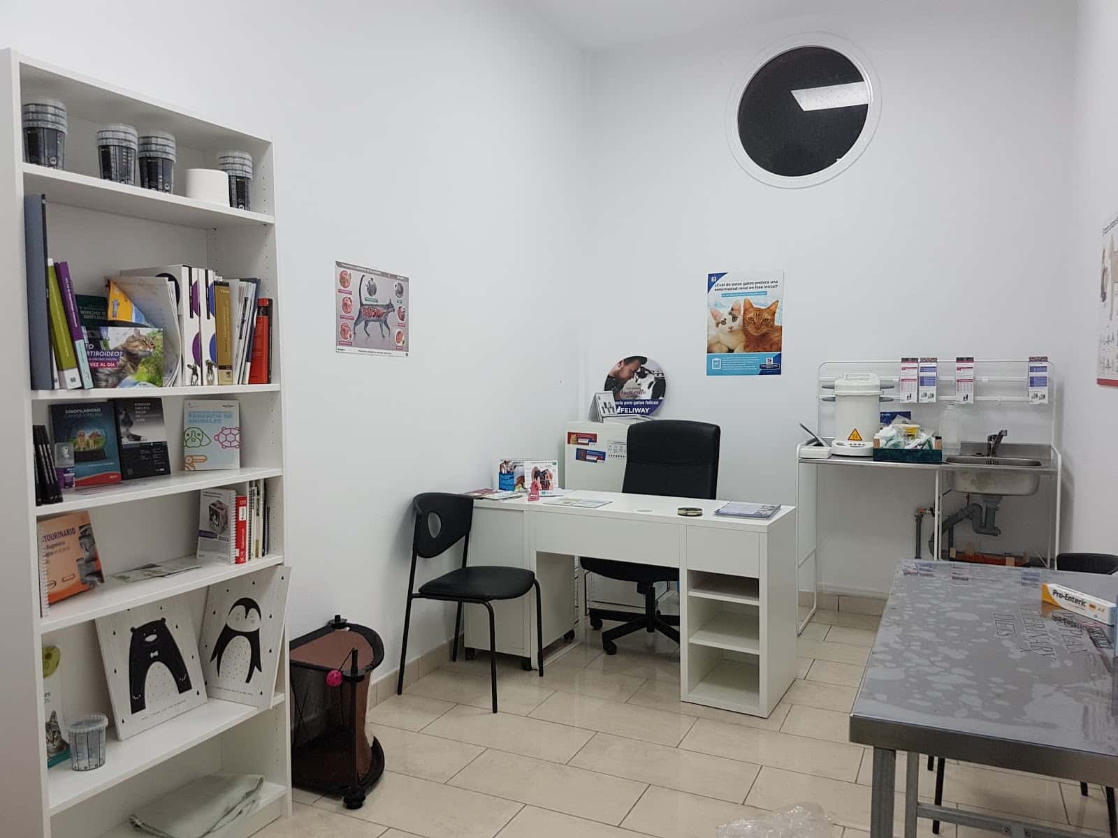 veterinario tejina centro perenquen  veterinario centro en tejina en santa cruz de tenerife principalImage ADOPTA Sitios Pet Friendly