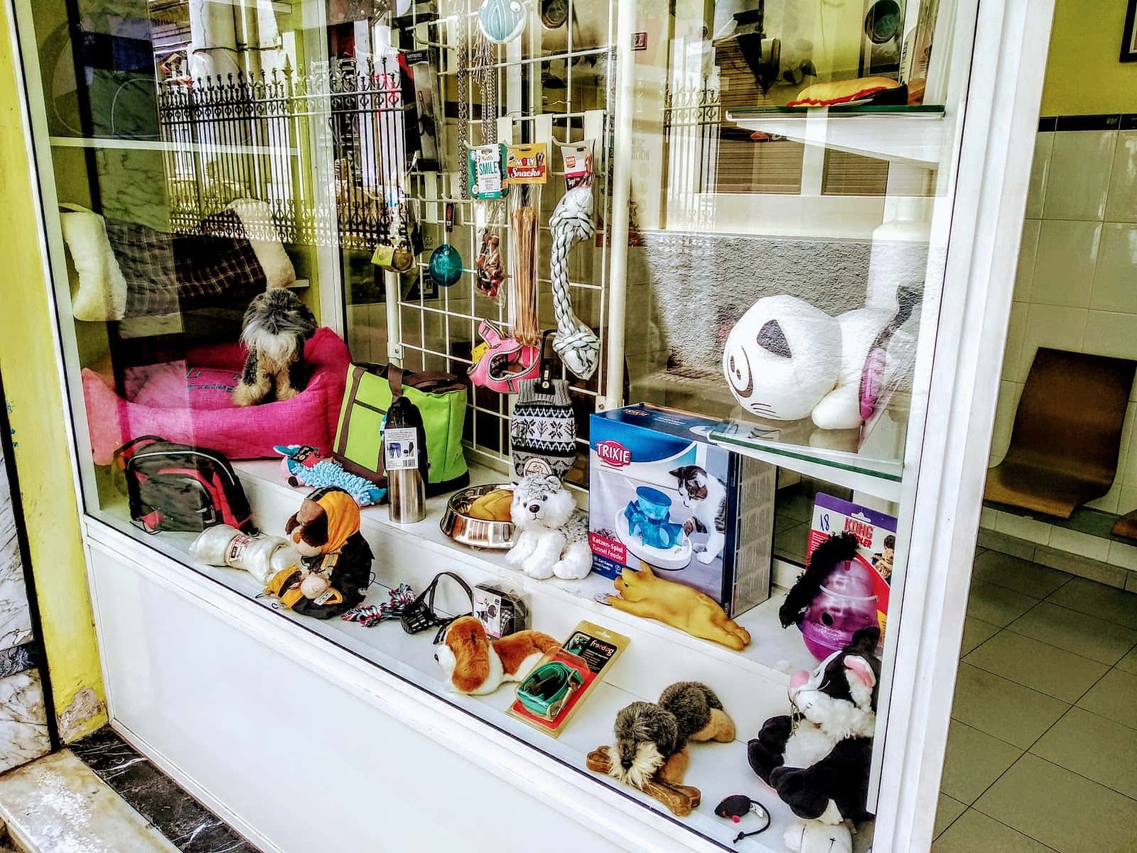 Clínica Veterinaria San Lucas