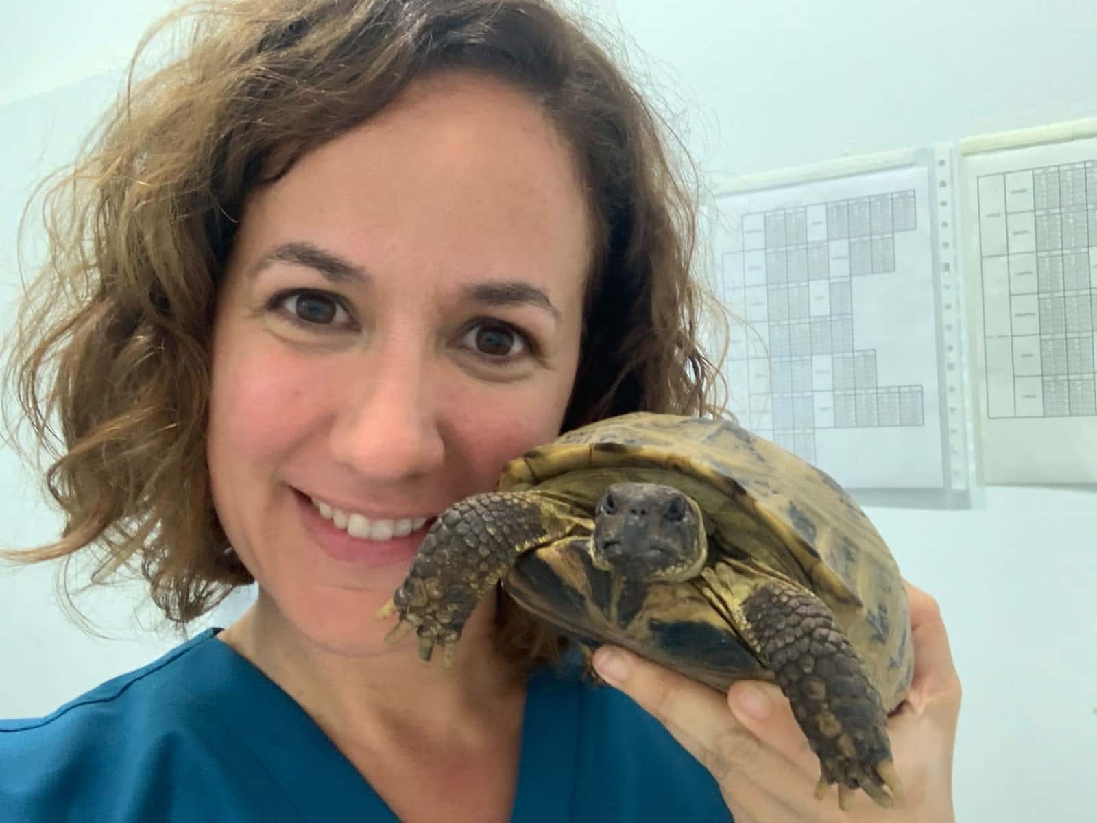 Centro Veterinario WECAN Que Fauna!