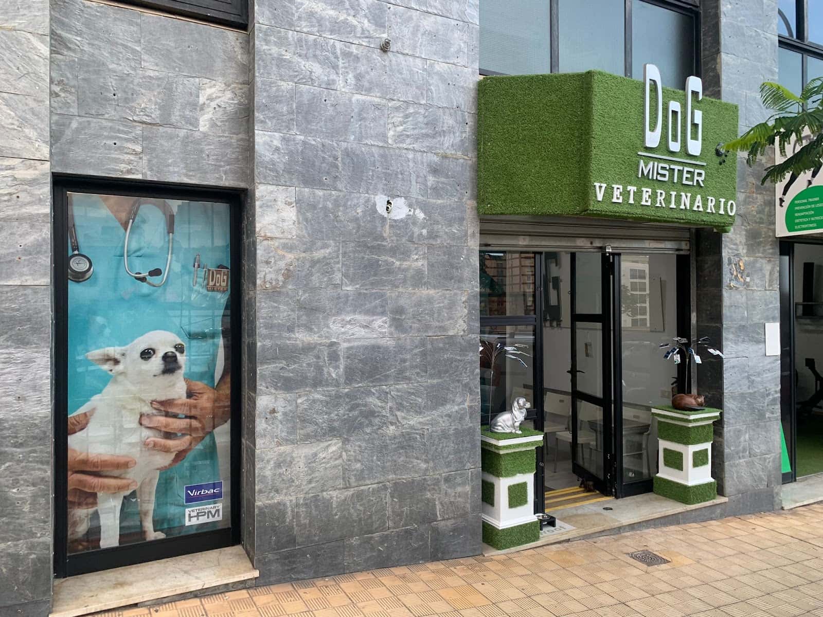 clinica veterinaria mr  dog veterinario clinica barrio santa cruz de tenerife en santa cruz de tenerife en santa cruz de tenerife principalImage ADOPTA Sitios Pet Friendly