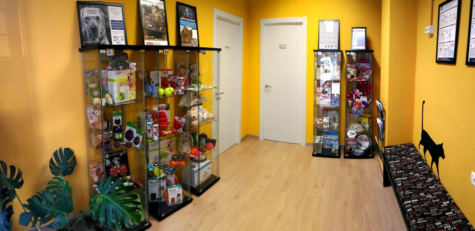 animaletos   centro de etologia veterinaria veterinario centro barrio santa cruz de tenerife en santa cruz de tenerife en santa cruz de tenerife principalImage ADOPTA Sitios Pet Friendly