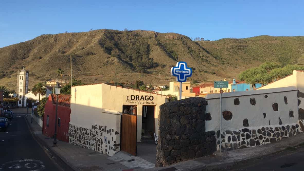 clinica veterinaria el drago veterinario clinica en tegueste en santa cruz de tenerife principalImage ADOPTA Sitios Pet Friendly