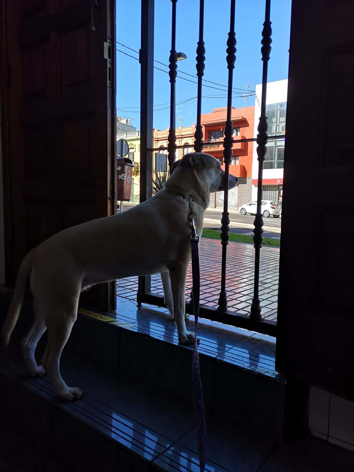 Clínica Veterinaria San Cristóbal