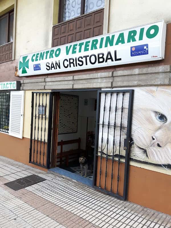 clinica veterinaria san cristobal veterinario clinica en la laguna en santa cruz de tenerife principalImage ADOPTA Sitios Pet Friendly