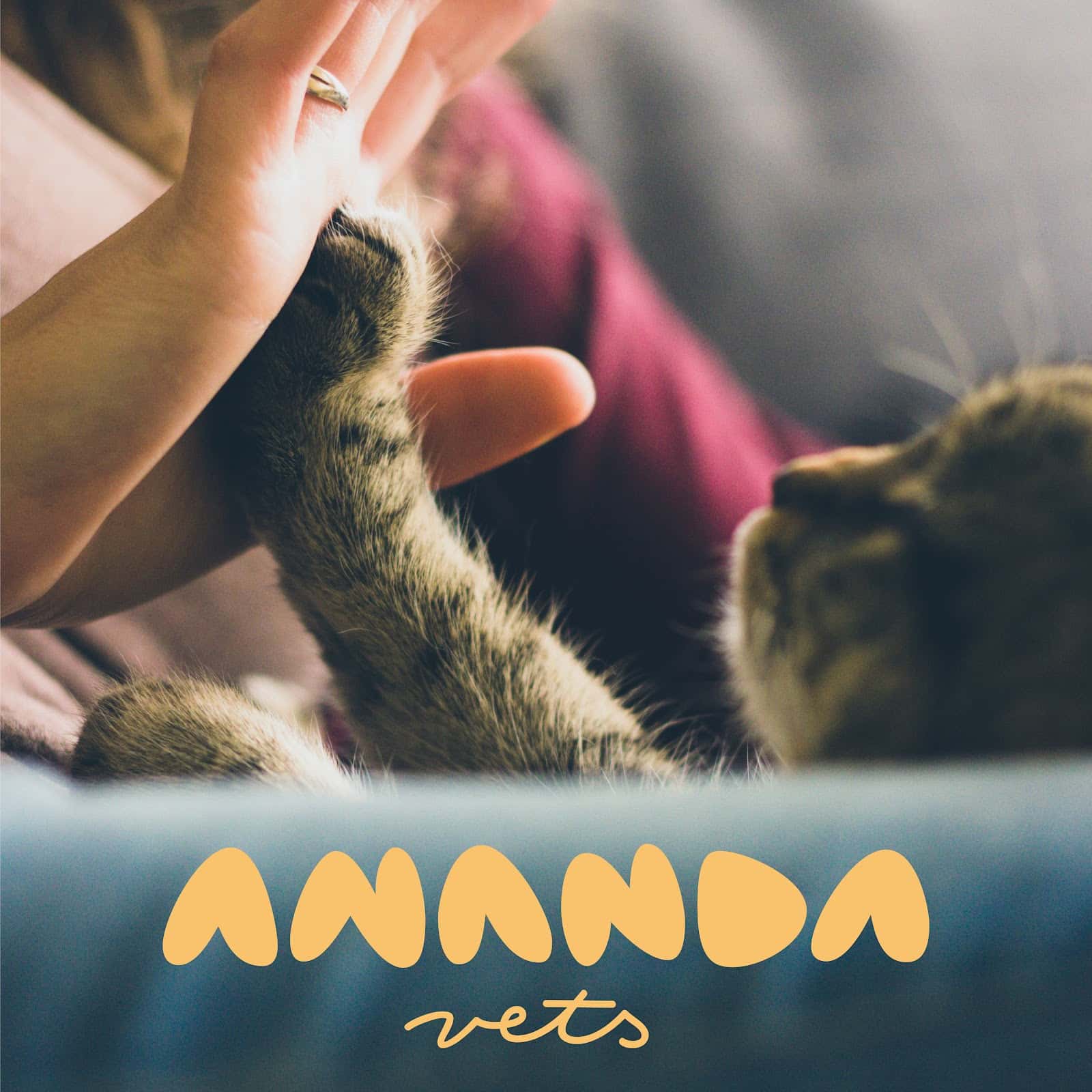 Ananda vets