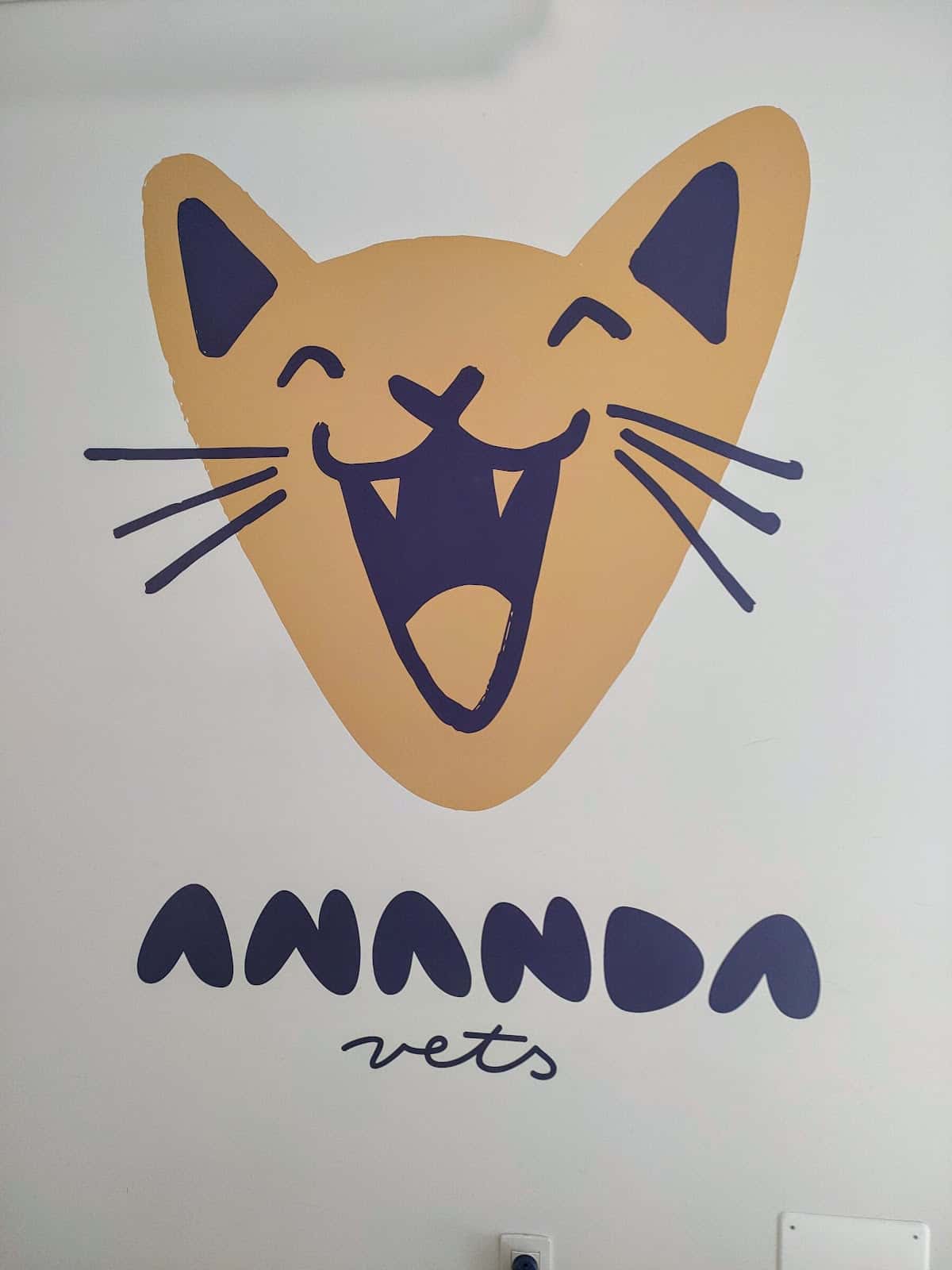 ananda vets veterinario centro barrio santa cruz de tenerife en santa cruz de tenerife en santa cruz de tenerife principalImage ADOPTA Sitios Pet Friendly