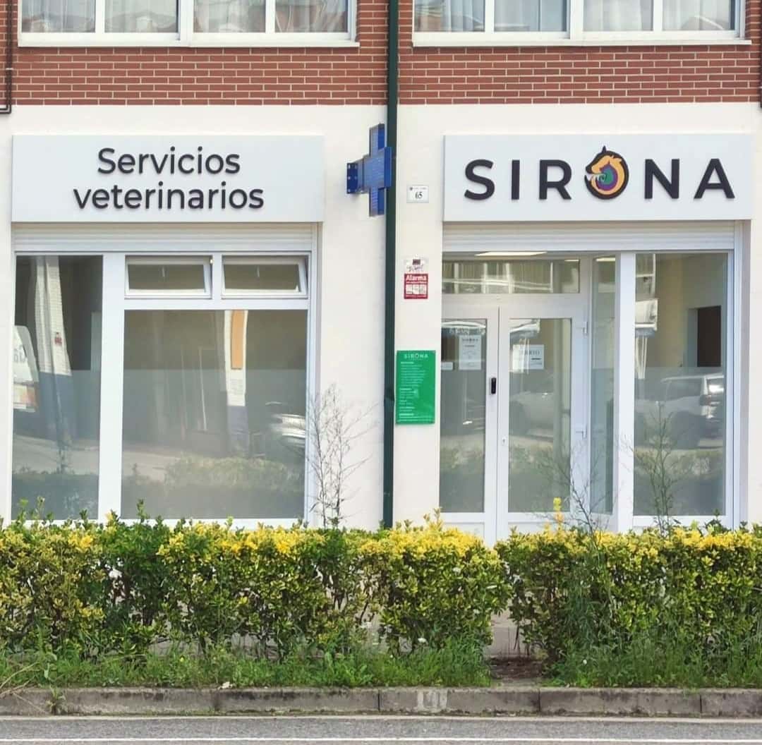servicios veterinarios sirona veterinario centro en hoznayo en cantabria principalImage ADOPTA Sitios Pet Friendly