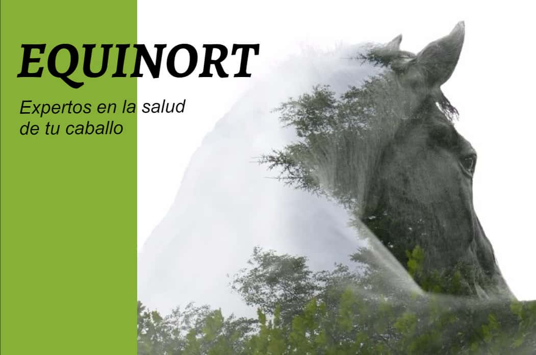 equinort veterinarios equinos veterinario centro en anero en cantabria principalImage ADOPTA Sitios Pet Friendly