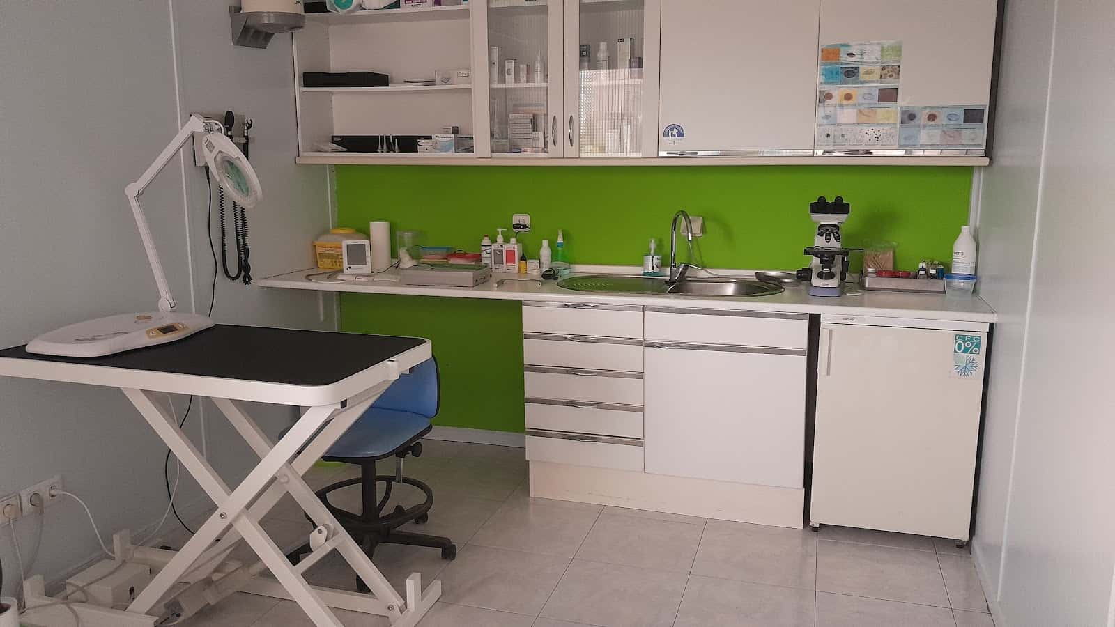 CLINICA VETERINARIA BERRIA