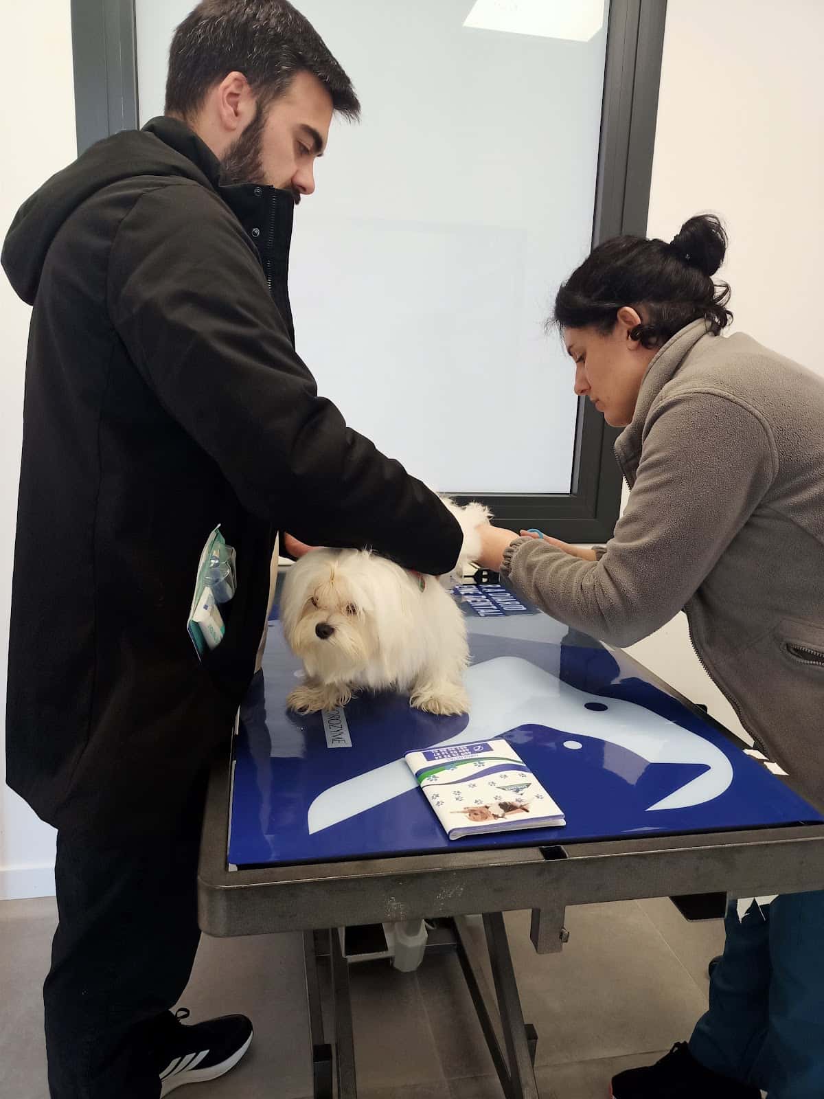 CENTRO VETERINARIO TRASMIERA