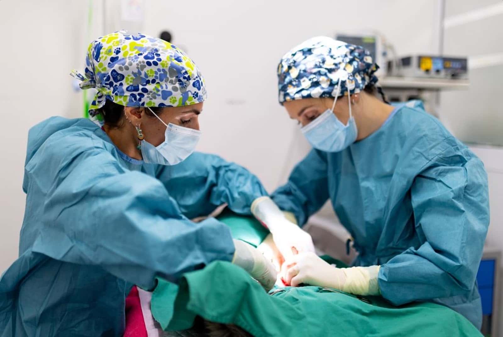 Clínica Veterinaria Babieca