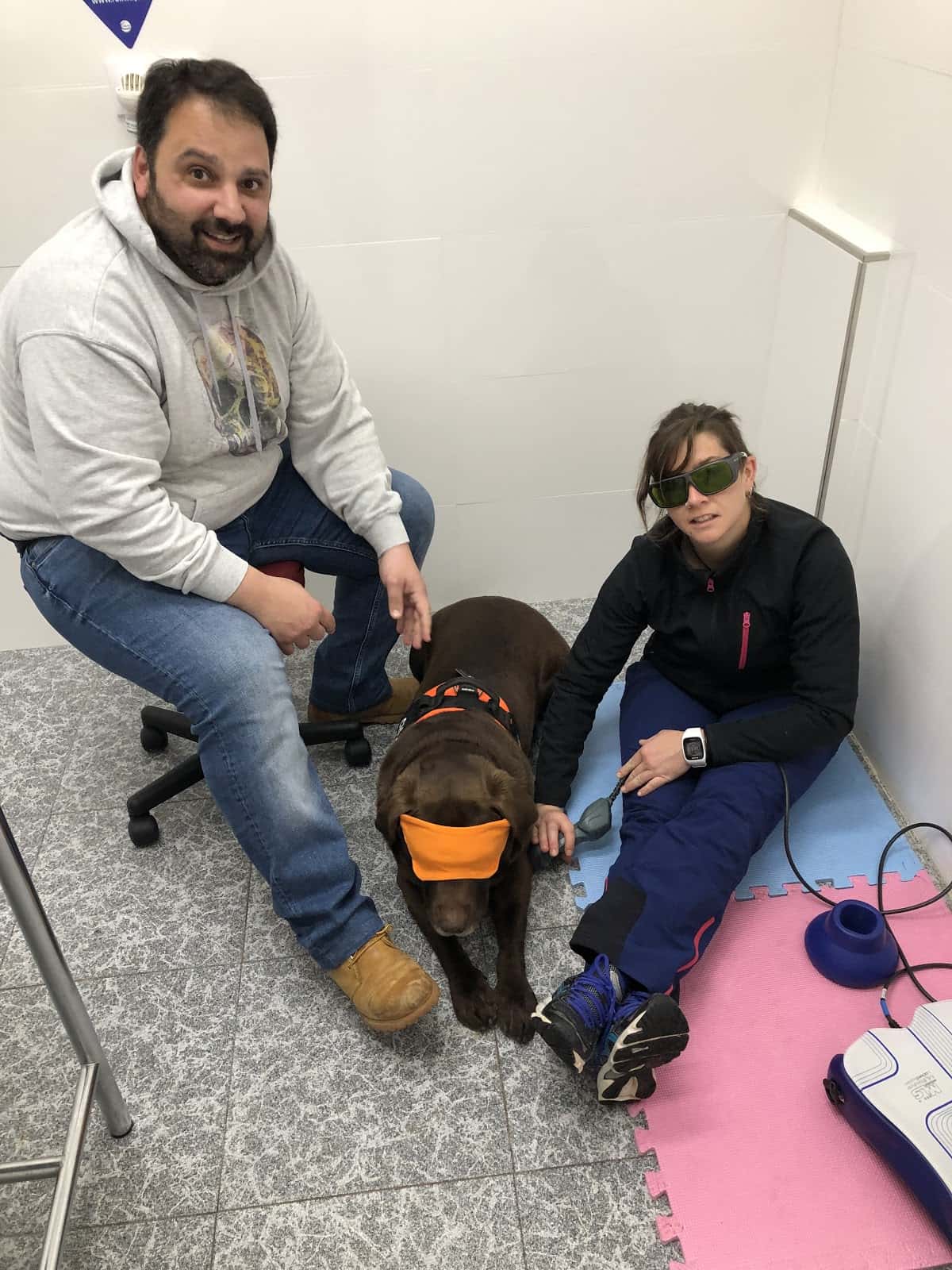 Clínica Veterinaria Babieca