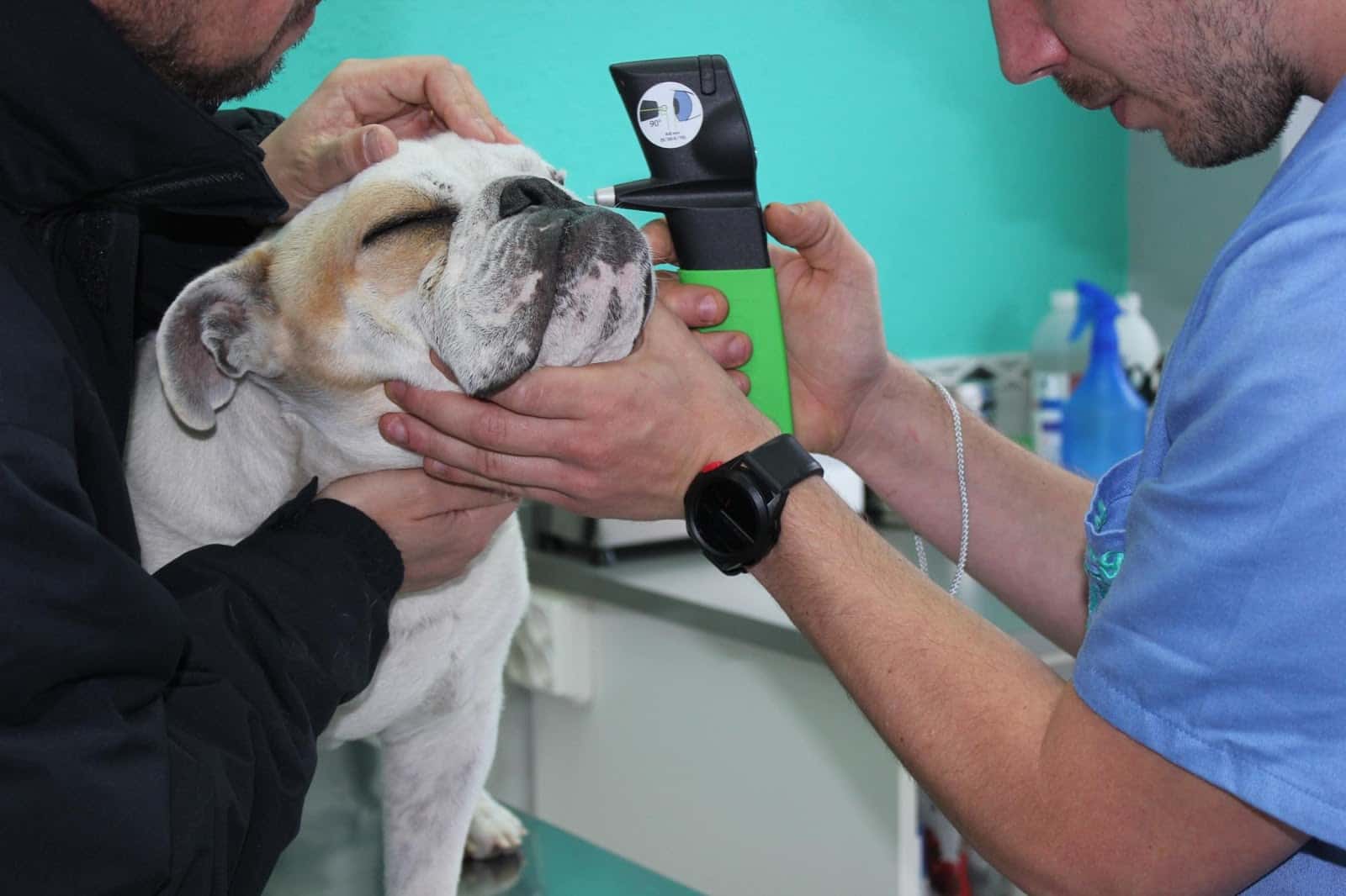 Clínica Veterinaria La Salvé